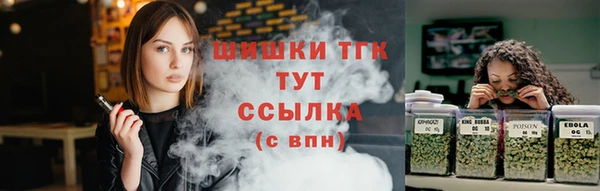 сатива Волосово