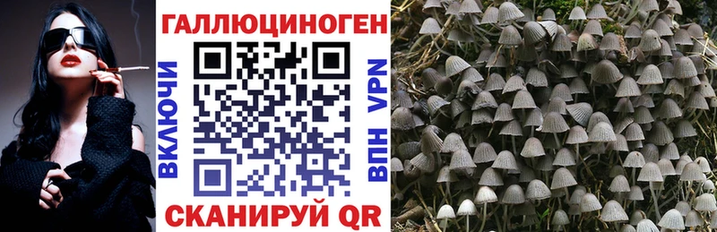 мориарти телеграм  Верхний Тагил  Галлюциногенные грибы мицелий  купить наркотики сайты 